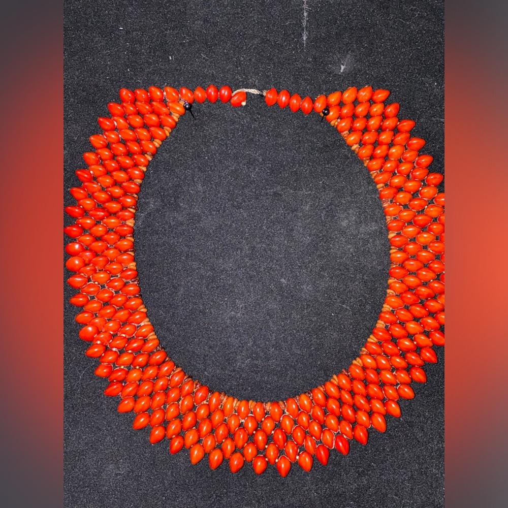Indigenous necklace from Brazilian seeds